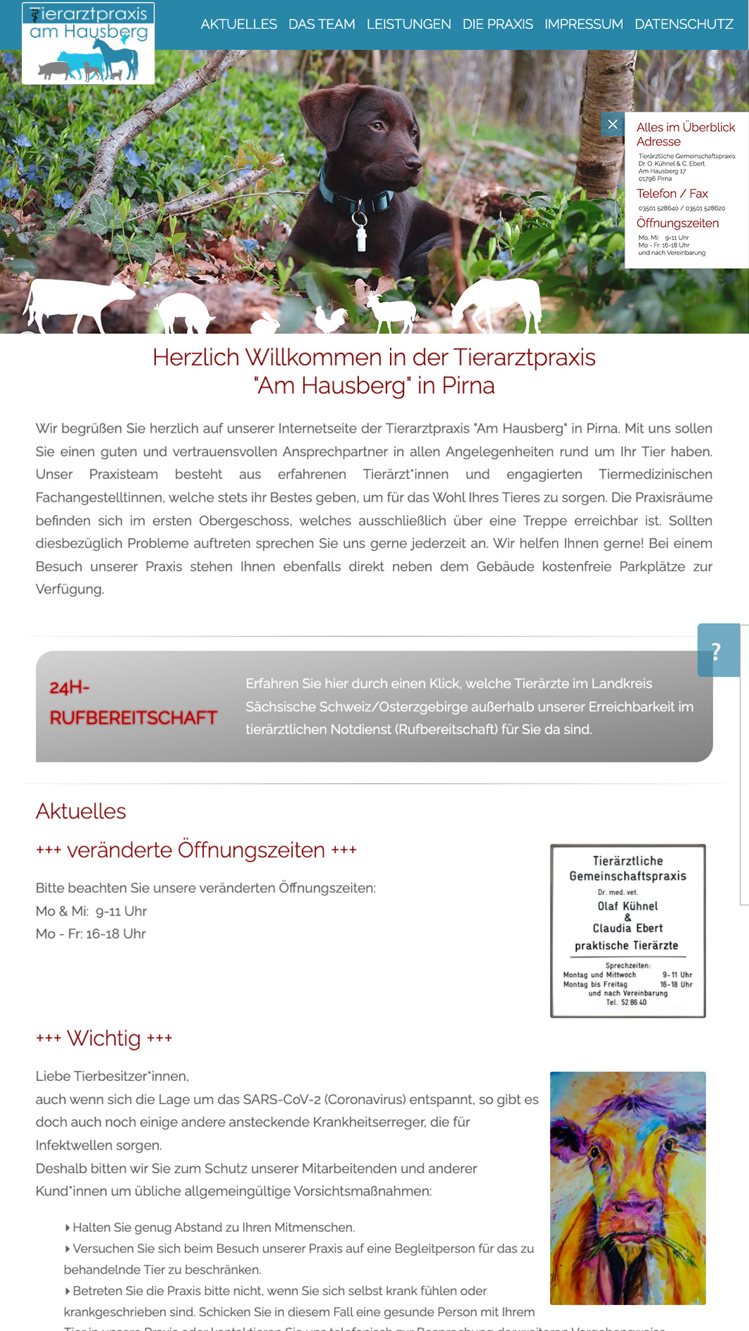 www.tierarzt-am-hausberg.de